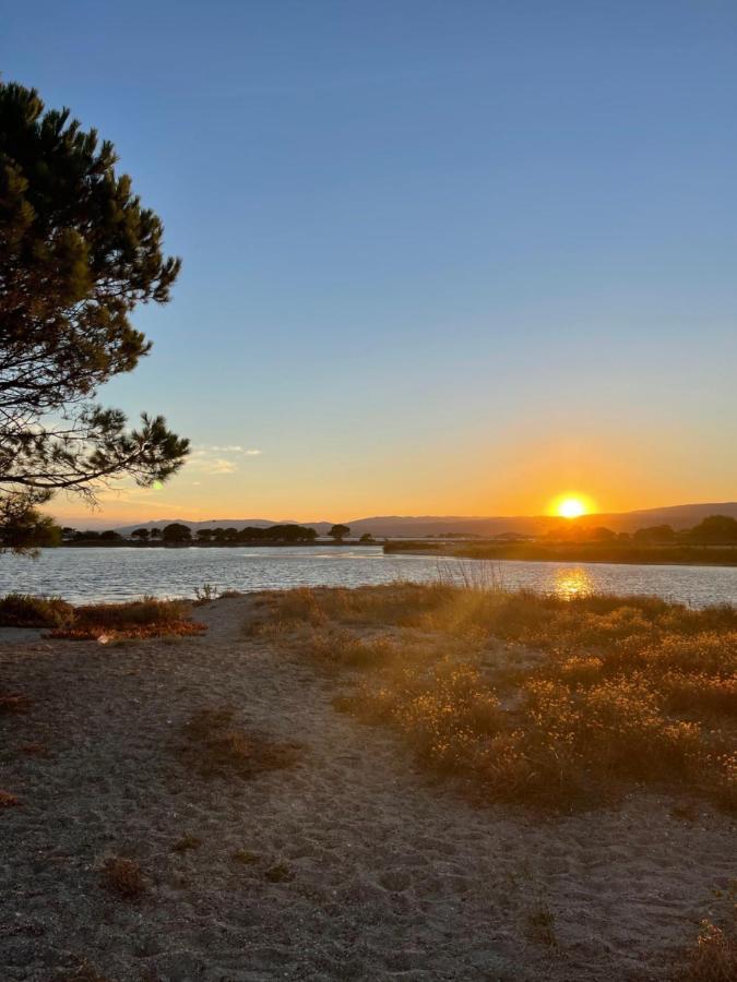 T2 avec terrasse, vue étang et son coucher de soleil, plage à proximité, wifi et place de parking gratuit que l on nomme Grain de Corail Le Barcarès Exterior foto